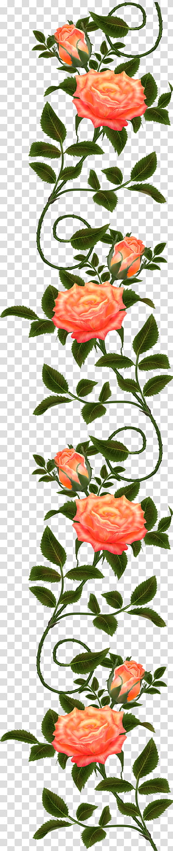 orange and green rose flowers illustration transparent background PNG clipart