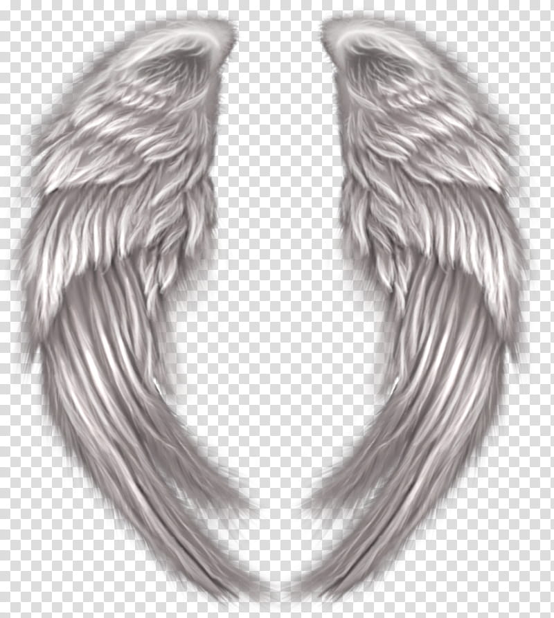 Recursos Alas De Angel , white wings transparent background PNG clipart
