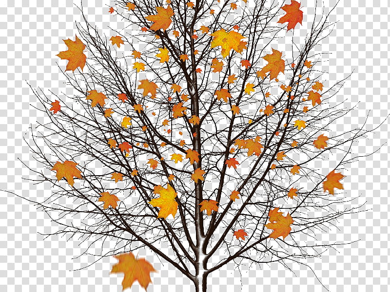 Autumn swatches, tree with brown leaves transparent background PNG clipart