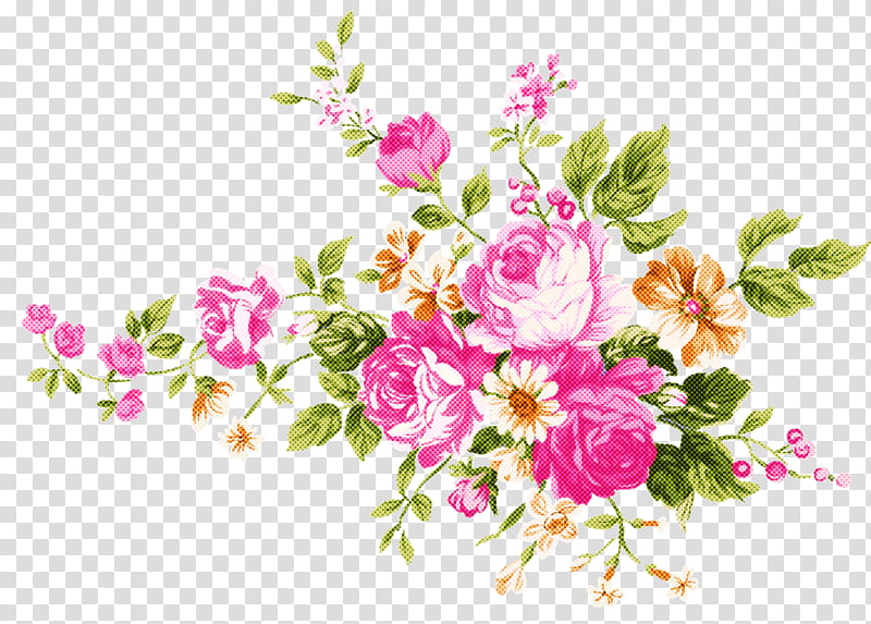 Floral design, Flower, Pink, Plant, Cut Flowers, Bouquet, Prickly Rose, Flowering Plant transparent background PNG clipart