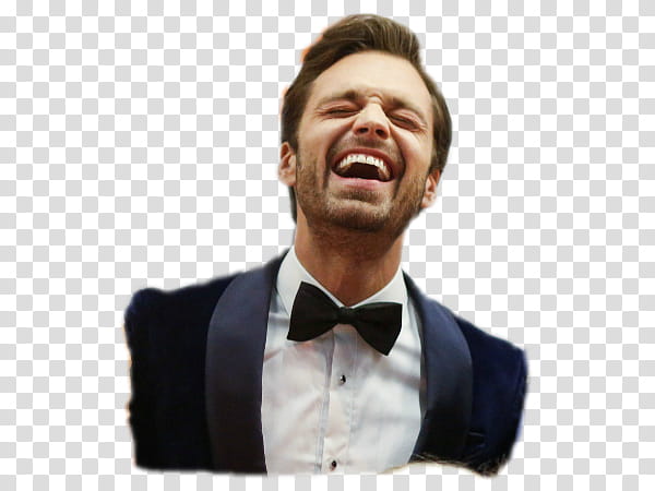 Sebastian Stan XXVI transparent background PNG clipart