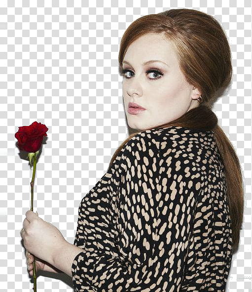 Shoot de Adele transparent background PNG clipart