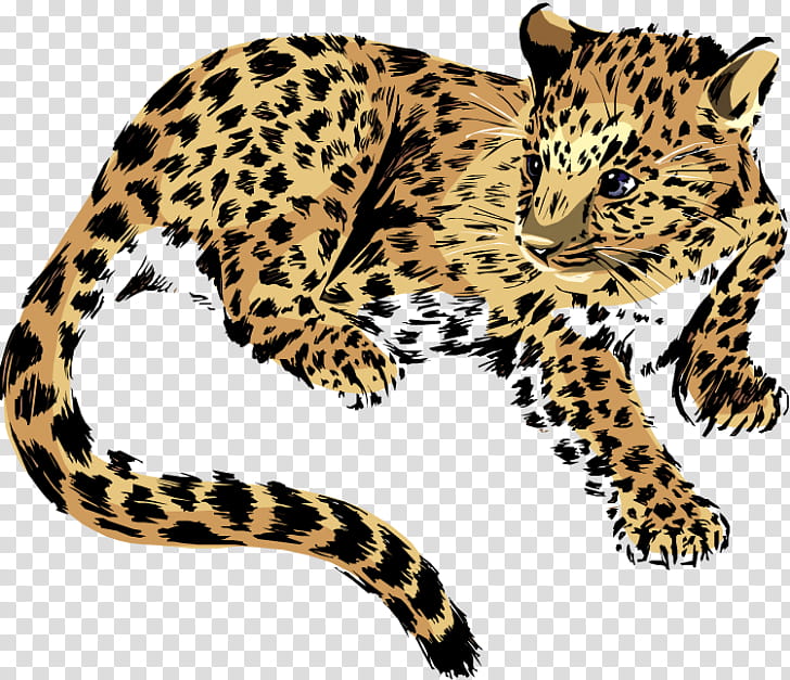 Cars, Jaguar, Jaguar Etype, Jaguar Cars, Leopard, Wildlife, Animal Figure, African Leopard transparent background PNG clipart