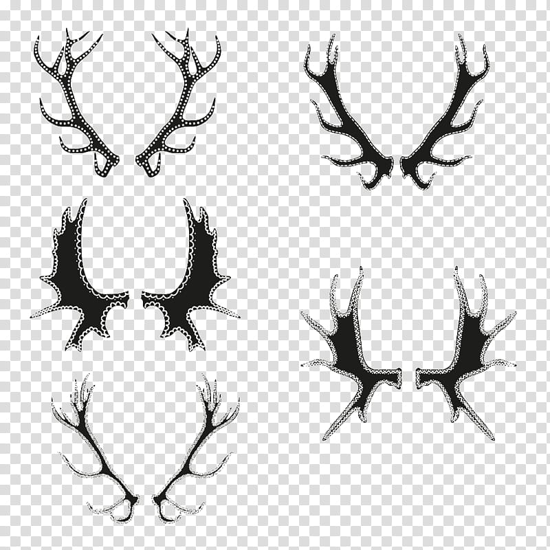 Tree Branch Silhouette, Deer, Antler, Horn, Cartoon, Black And White
, Line Art, Wing transparent background PNG clipart