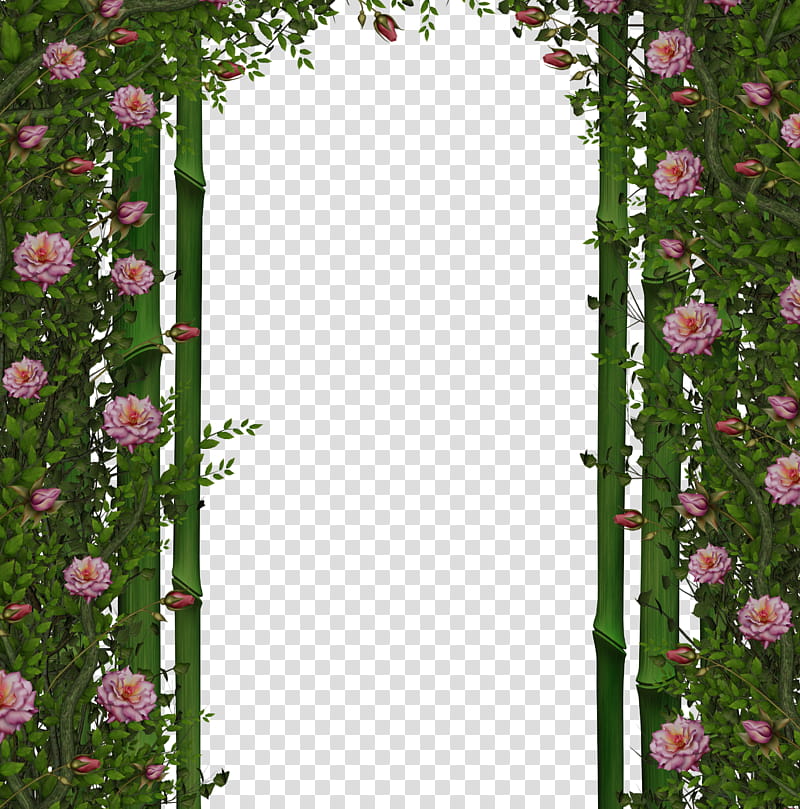 roses and bamboo background, pink flower arch transparent background PNG clipart