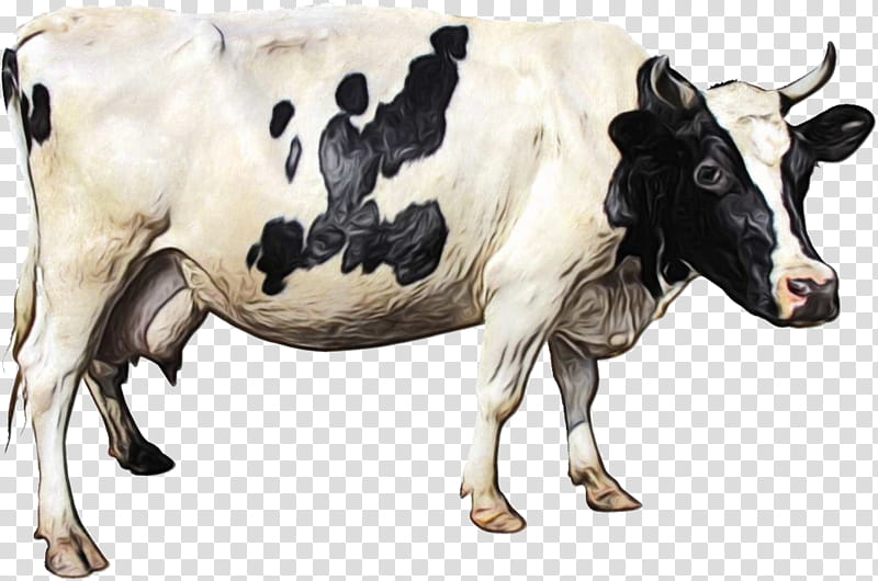 Watercolor Animal, Paint, Wet Ink, Holstein Friesian Cattle, Gyr Cattle, White Park Cattle, British White Cattle, Dairy transparent background PNG clipart