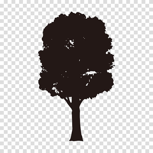 Tree Branch Silhouette, European Ash, Drawing, Aspen, Shrub, Cottonwood, Honey Locust, Leaf transparent background PNG clipart