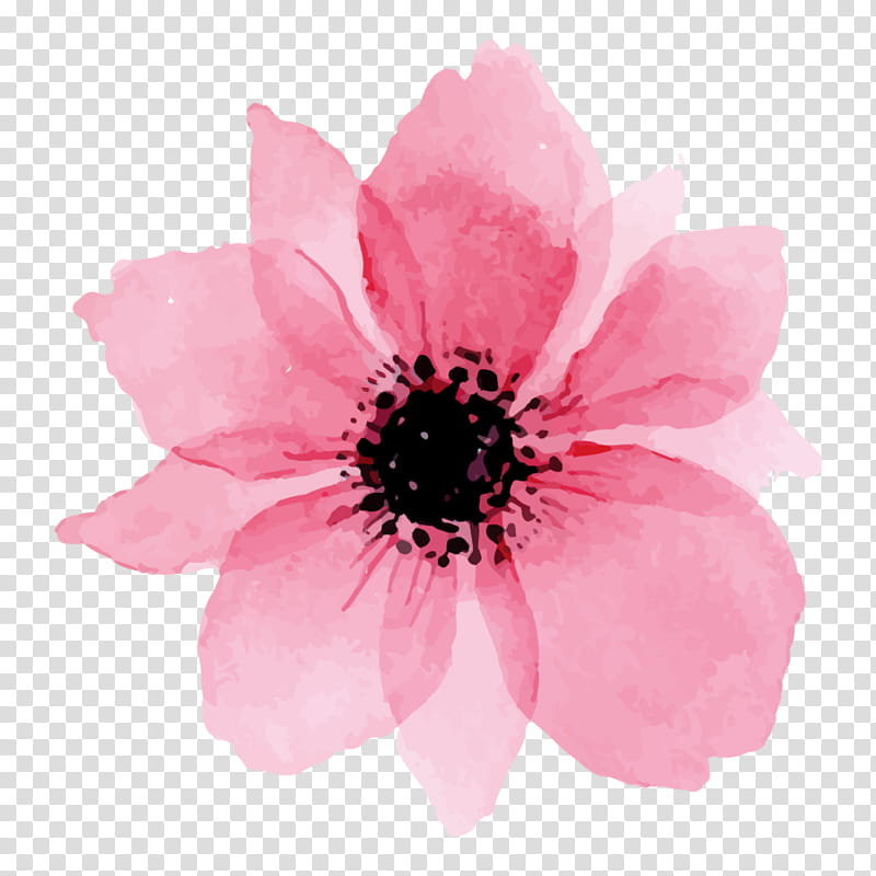 How to Draw Perfect Flowers, Step by Step