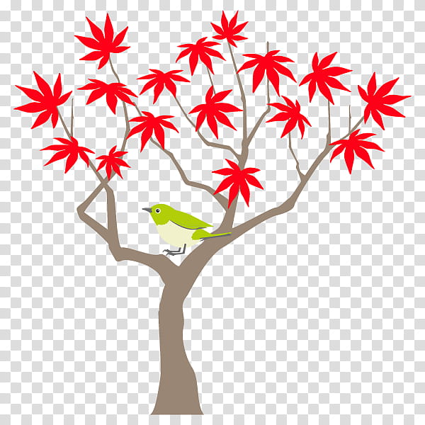 Red Maple Tree, Twig, Bamboo, Leaf, Bamboo Blossom, Painting, Conifers, Plants transparent background PNG clipart