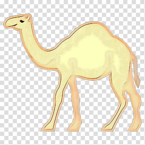 camel camelid arabian camel terrestrial animal animal figure, Pop Art, Retro, Vintage, Wildlife, Live, Fawn transparent background PNG clipart