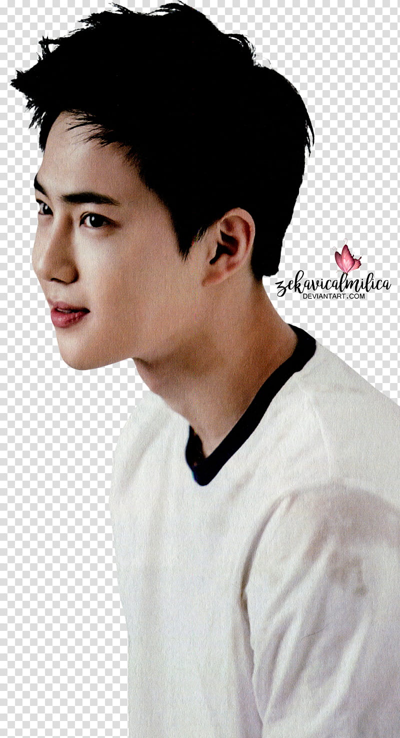 EXO Suho  Season Greetings transparent background PNG clipart