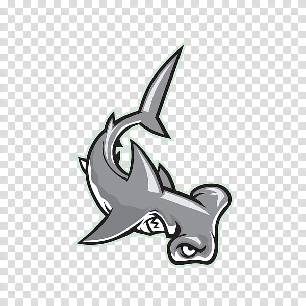 Great White Shark, Great Hammerhead, Bonnethead, Scalloped Bonnethead, Grey Reef Shark, Hammerhead Shark, Hammerheads, Fish transparent background PNG clipart