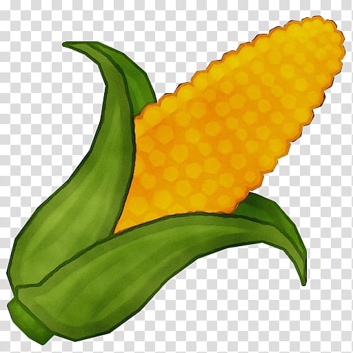 Leaf Watercolor, Paint, Wet Ink, Corn On The Cob, Maize, Sweet Corn, Corn Flakes, Corncob transparent background PNG clipart