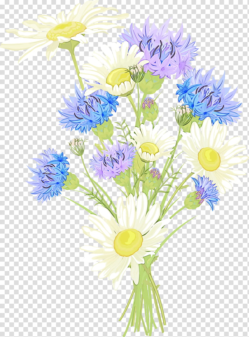 Flowers, Cut Flowers, Floral Design, Chrysanthemum, Oxeye Daisy, Flower Bouquet, Plants, Roman Chamomile transparent background PNG clipart