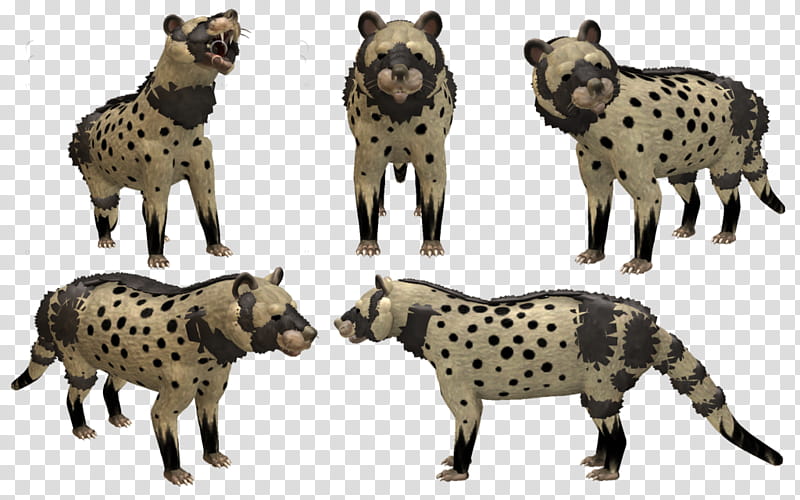 Spore Creature: African Civet transparent background PNG clipart