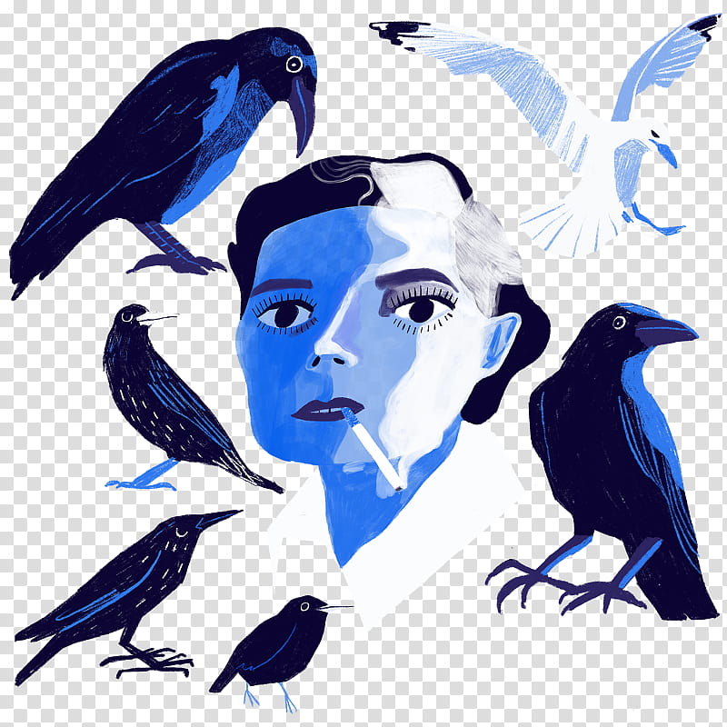 Pencil, London, Depiction, Daily Telegraph, Evening Standard, Bird, Beak, Crow Like Bird transparent background PNG clipart