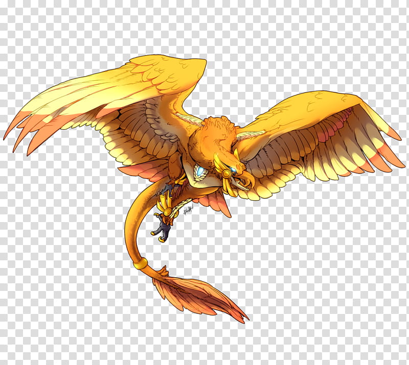Golden, Eagle, Dragon, Bird, Bird Of Prey, Beak, Claw, Character transparent background PNG clipart