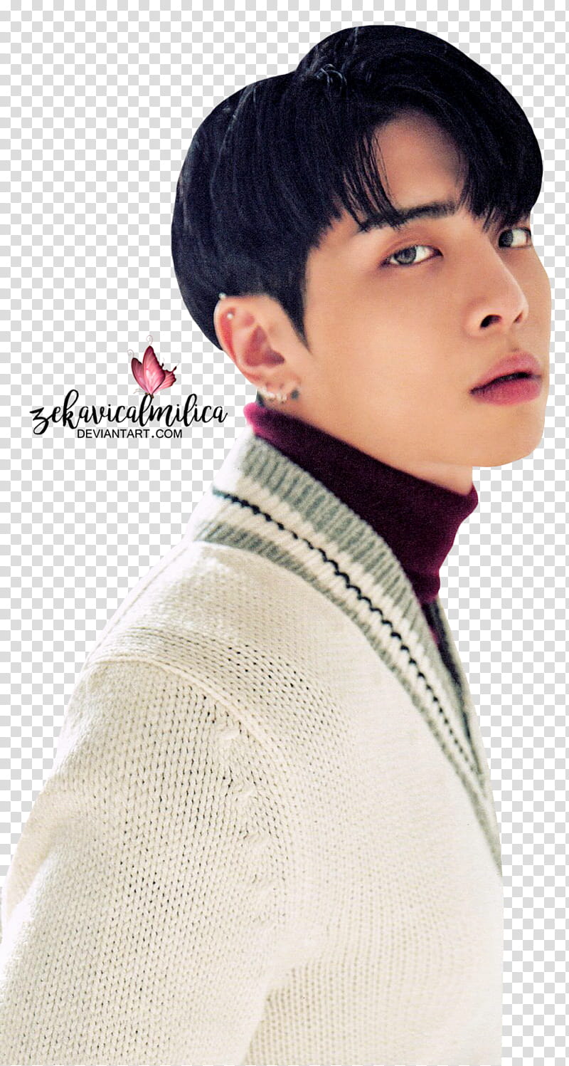 SHINee Jonghyun  Seasons Greetings transparent background PNG clipart