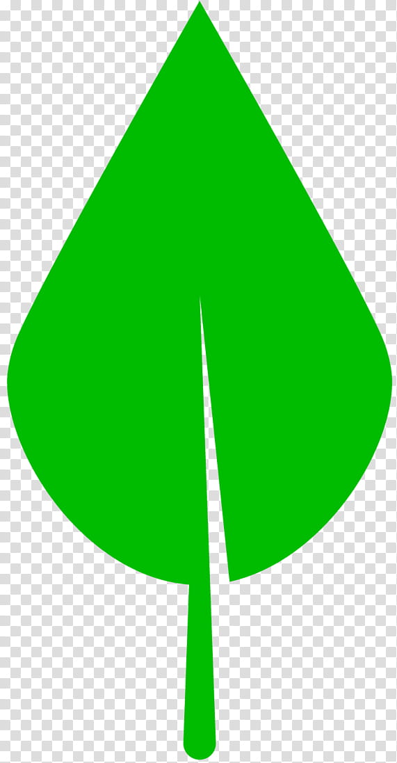 Green Leaf, Lindens, Document, Tree, Plant transparent background PNG clipart