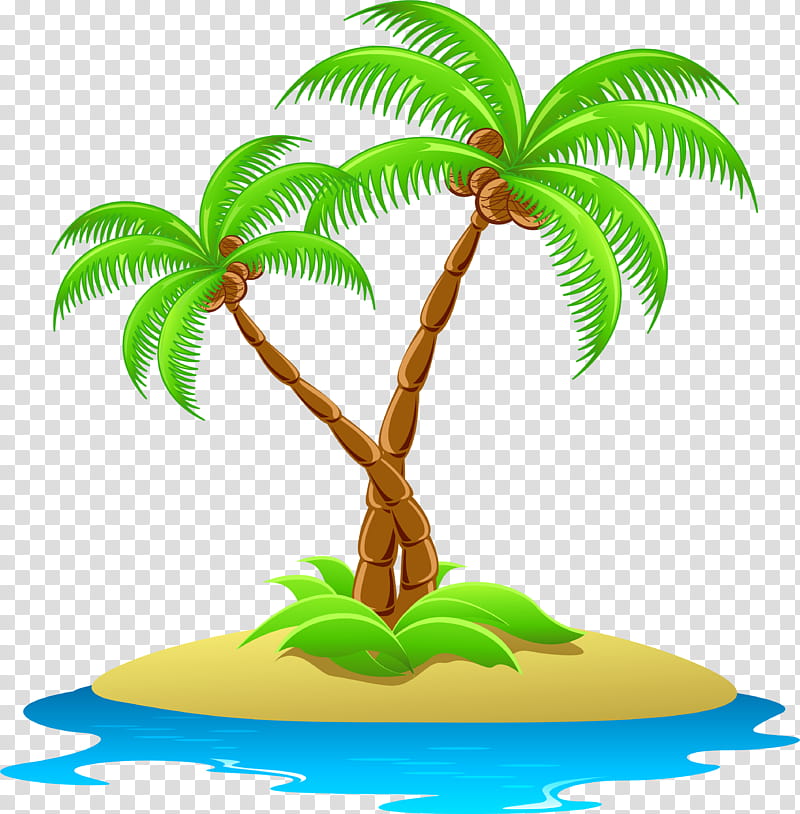 Coconut Tree, Blog, Palm Trees, Island, Plant, Leaf, Arecales, Woody Plant transparent background PNG clipart