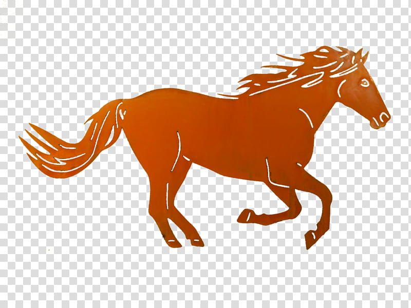 Horse, Thoroughbred, 2018 Kentucky Derby, Stallion, Horse Farm, Horse Racing, Equestrian, Horserider transparent background PNG clipart