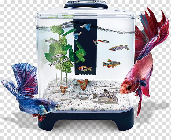 Flex, Aquarium, Mini Cooper, Fluval Flex, Fluval 9gallon Flex Aquarium Kit, Fish, Liter, Nano Reef transparent background PNG clipart