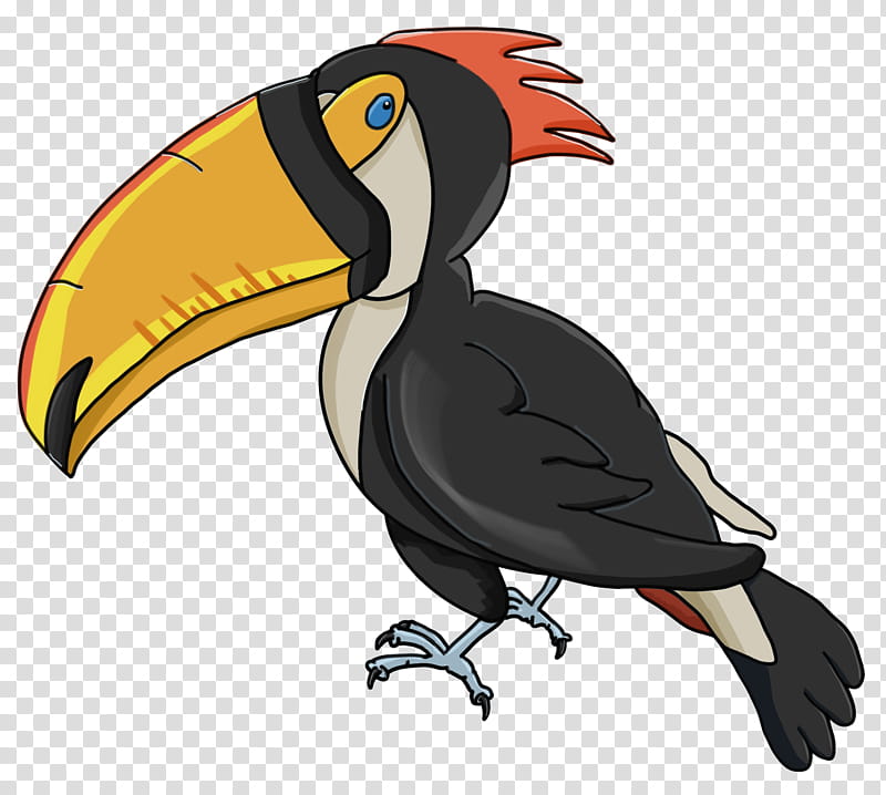 Hornbill Bird, Parrot, Fly Parrot, Beak, Cartoon, Macaw, Blacknecked Aracari, Piciformes transparent background PNG clipart