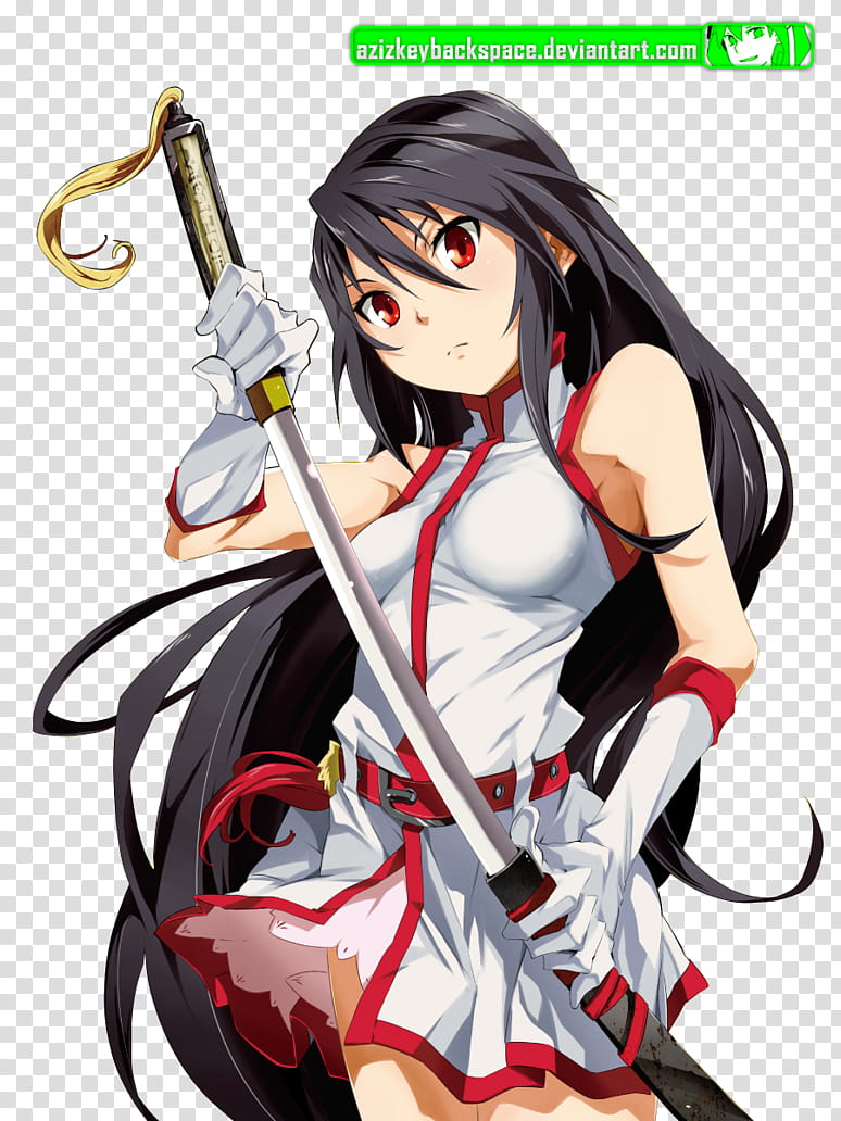 Akame (Akame ga Kill!), Render, female with black hair holding long sword anime transparent background PNG clipart