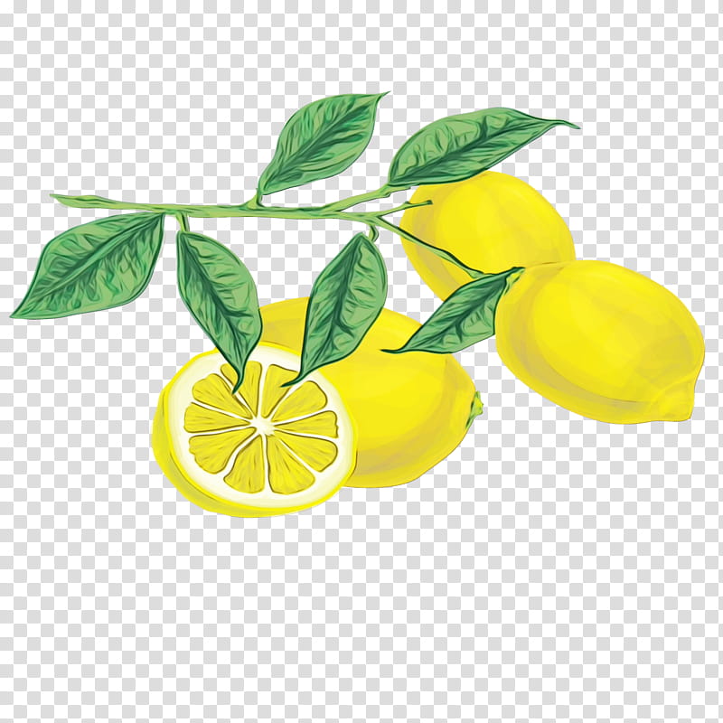Lemon Flower, Citron, Lime, Citric Acid, Yuzu, Yellow, Citrus, Persian Lime transparent background PNG clipart