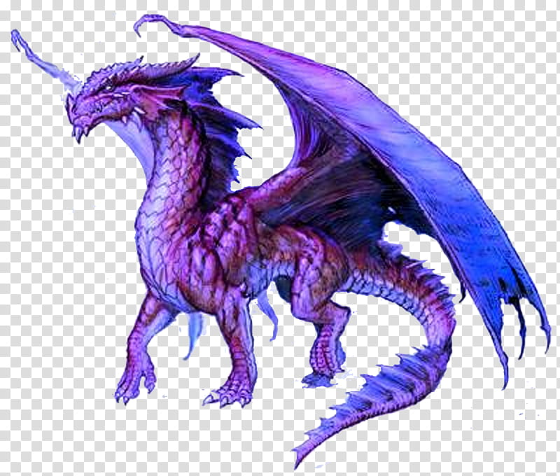Fire Breathing Dragon, Drawing, Purple, Fantasy, Demon transparent background PNG clipart