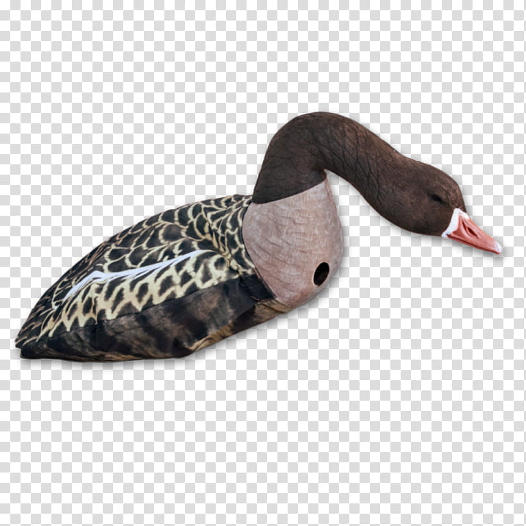 Water, Duck, Goose, Mallard, Bird, Greylag Goose, Swans, Decoy transparent background PNG clipart