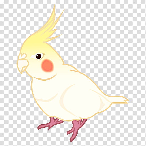 Bird Parrot, Rooster, Cockatiel, Chicken, Cockatoo, Beak, Feather, Character transparent background PNG clipart Bird Parrot, Rooster, Cockatiel, Chicken, Cockatoo, Beak, Feather, Character transparent background PNG clipart