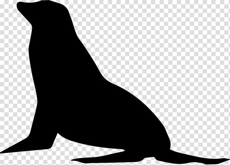 Lion, Sea Lion, Pinniped, Fur Seal, Shape, Silhouette, Seals, Black transparent background PNG clipart