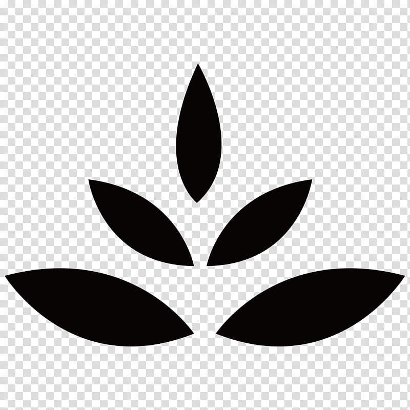 Black And White Flower, Subsidiary, Holding Company, Corporate Group, Leaf, Black And White
, Plant, Line transparent background PNG clipart