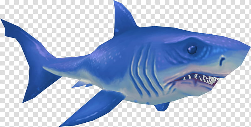 Great White Shark, Tiger Shark, Drawing, Shark Finning, Jaws, White Sharks, Fish, Cartilaginous Fish transparent background PNG clipart