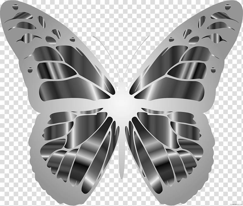Butterfly Black And White, Insect, Monarch Butterfly, Old World Swallowtail, Swallowtail Butterfly, Brushfooted Butterflies, Giant Swallowtail, Clouded Yellow, Moth transparent background PNG clipart