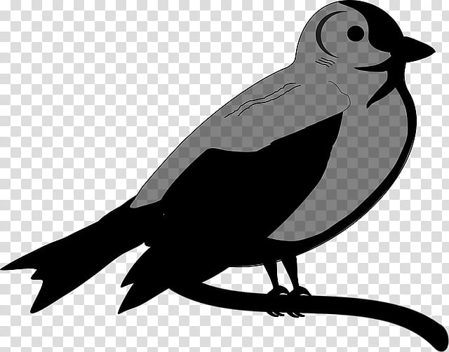 Bird Silhouette, Beak, American Sparrows, Branching, Wing, Perching Bird, Old World Flycatcher, Blackbird transparent background PNG clipart