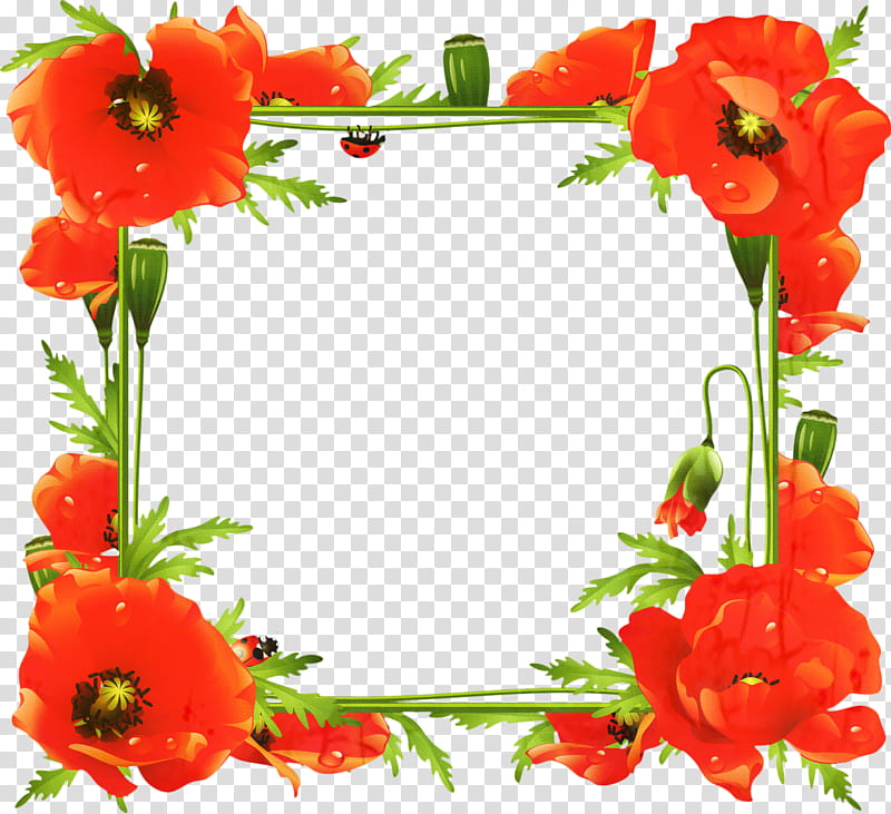 Red Background Frame, Frames, Poppy, Flower Frame, BORDERS AND FRAMES, Common Poppy, Wreath, Floral Design transparent background PNG clipart