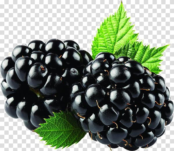Fruit, Blackberry, Milkshake, Tea, Fizz, Smoothie, Food, Raspberry transparent background PNG clipart