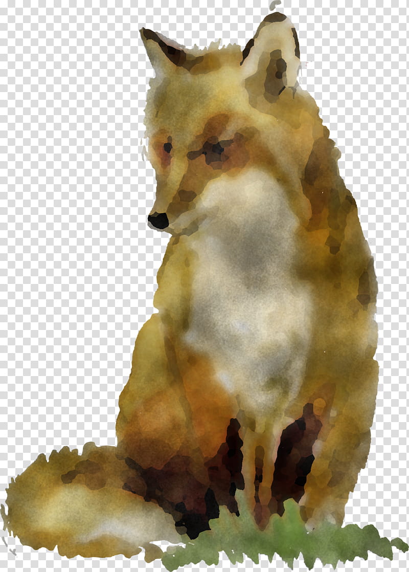 red fox fox wildlife snout coyote, Swift Fox, Fur transparent background PNG clipart