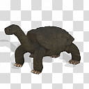 Spore creature Pinta Island tortoise, black turtle illustration transparent background PNG clipart