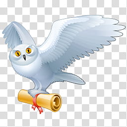 Harry Potter, white owl transparent background PNG clipart