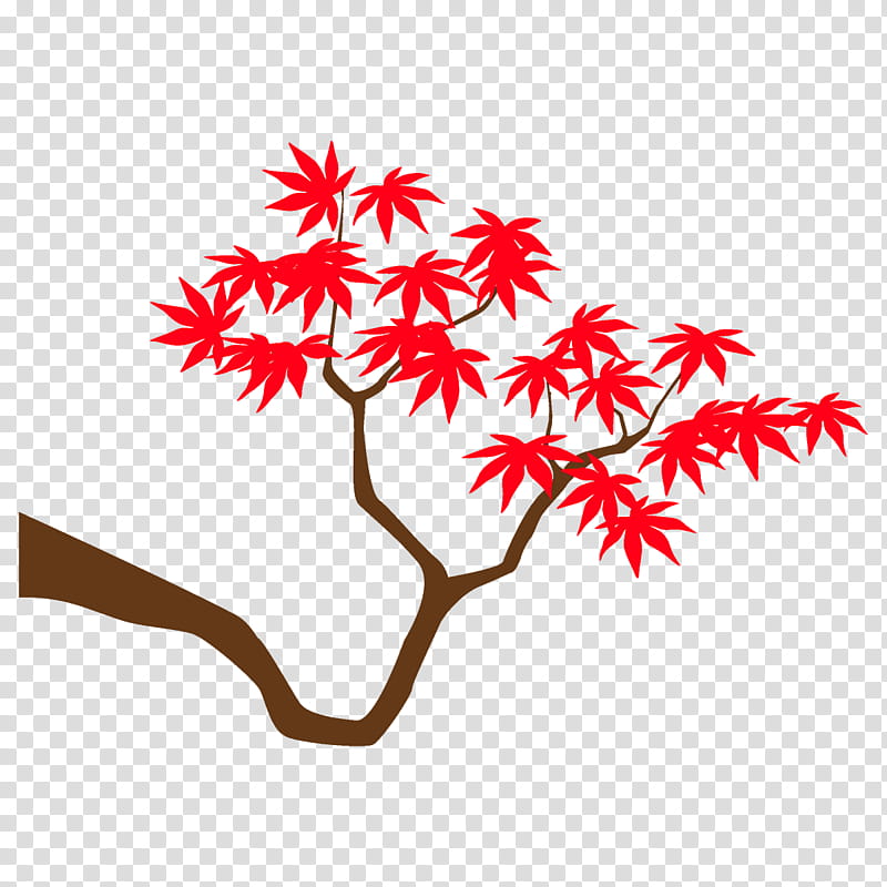 maple branch maple leaves autumn tree, Fall, Leaf, Plant, Woody Plant, Black Maple, Flower, Twig transparent background PNG clipart