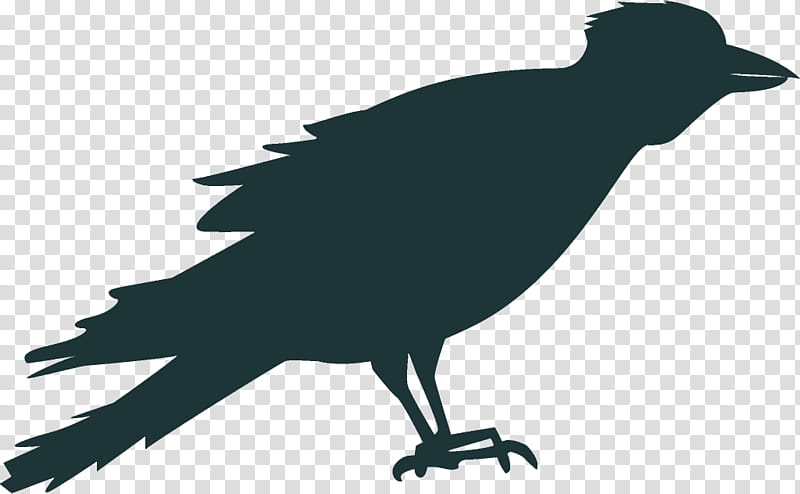 raven halloween crow, Halloween , Bird, Fish Crow, Beak, New Caledonian Crow, Rook, Crowlike Bird transparent background PNG clipart