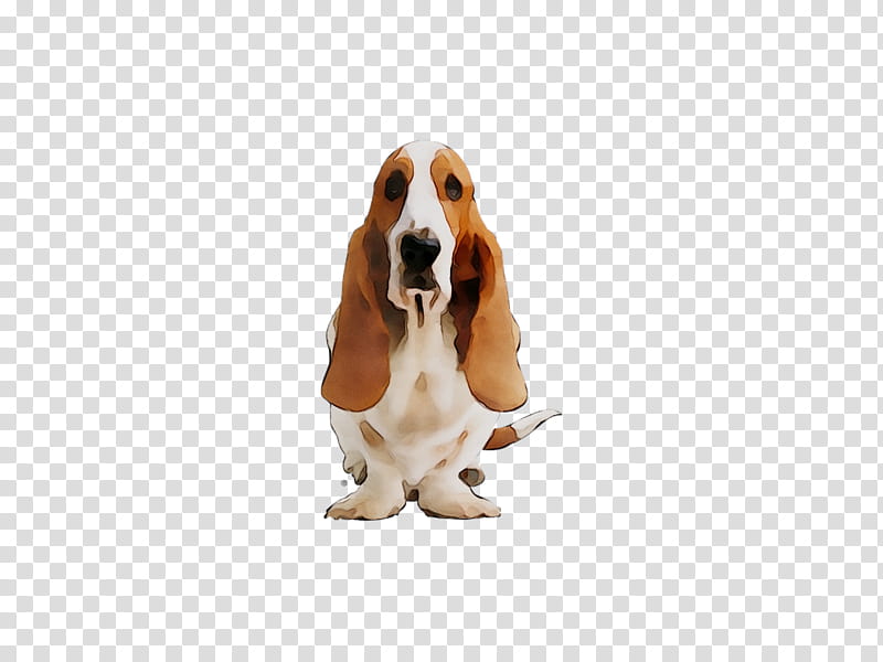 Cartoon Dog, Basset Hound, Companion Dog, Snout, Breed, Schweizer Laufhund, Artois Hound, Scent Hound transparent background PNG clipart