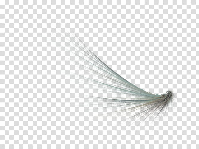 Wings file , white feather transparent background PNG clipart