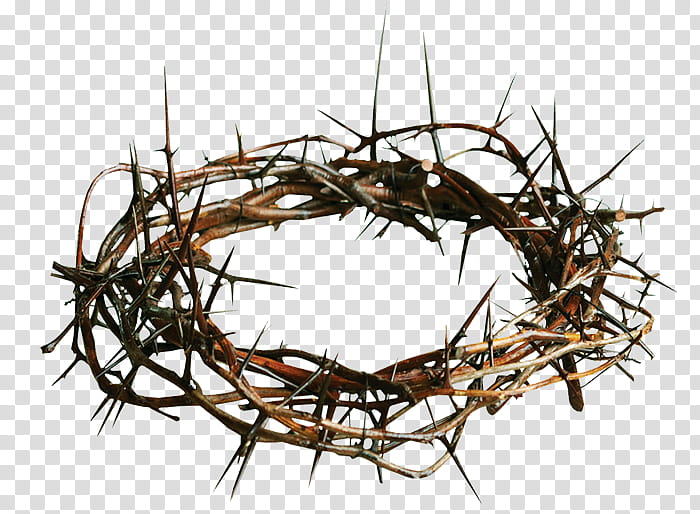 kings and queens, crown of thorns transparent background PNG clipart