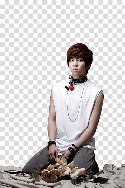 U kiss y SuJu Pedido , Soohyun, icon transparent background PNG clipart