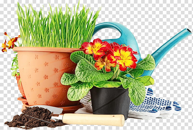 Plants Frame, Watercolor, Paint, Wet Ink, Garden, Guzmania, Vriesea, Cyclamen transparent background PNG clipart