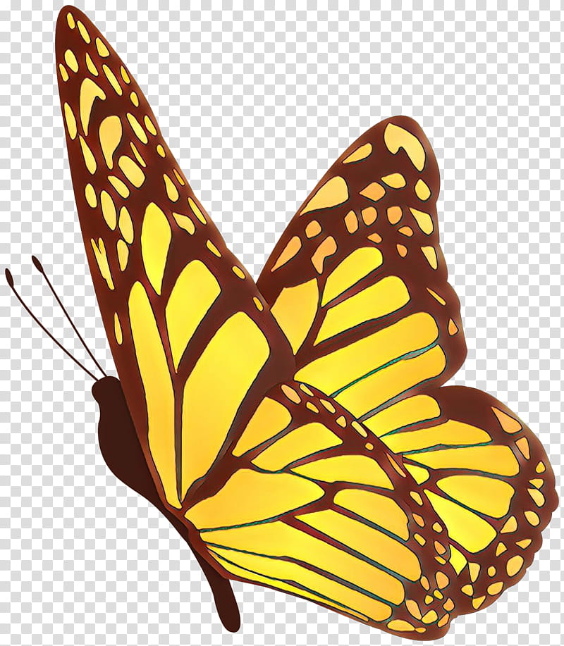 Monarch butterfly, Moths And Butterflies, Cynthia Subgenus, Insect, Brushfooted Butterfly, Yellow, Pollinator transparent background PNG clipart